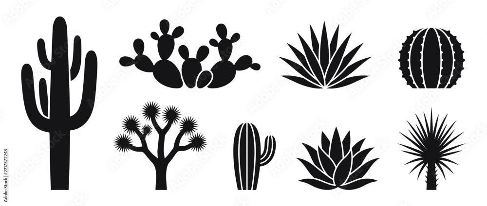 Fototapeta premium Desert cactus and succulent icons isolated on transparent background. Arid plant symbols and botanical illustrations. Saguaro, Prickly Pear, Agave, Barrel Cactus, Yucca, Palo Verde. Minimalist line.