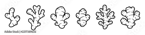 Vector illustrations of ginger r… set with simple line art design featuring sketches, drawings, vector graphics with minimalist and simple illustrations