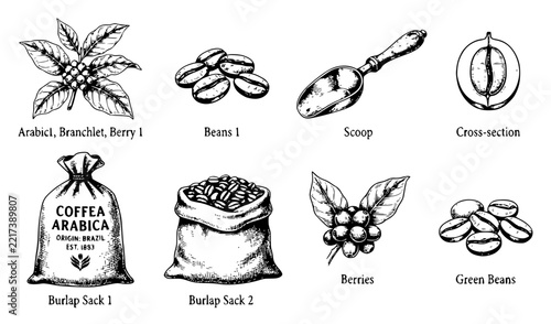 Vintage coffee sketch elements set with simple line art design featuring line art, illustrations, graphic resources with vector and design elements