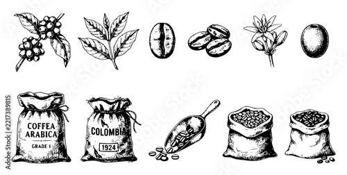 Vintage ink sketches of coffee set with simple line art design featuring line art, illustrations, graphic resources with vector and design elements
