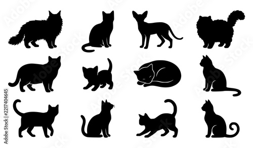Domestic Cat and Kitten Black Silhouette Editable Vector Collection
