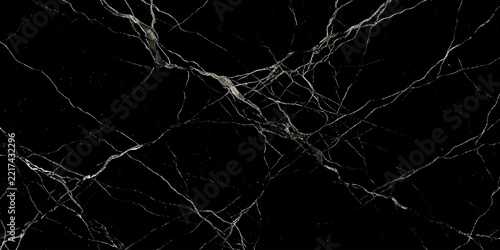 Striking black marble with intricate white veins creates a sophisticated and dramatic backdrop, perfect for modern design and luxury applications.