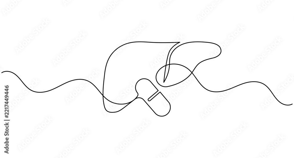 Fototapeta premium Liver anatomy with capsule pill continuous one line drawing minimalist medical treatment organ editable stroke vector illustration
