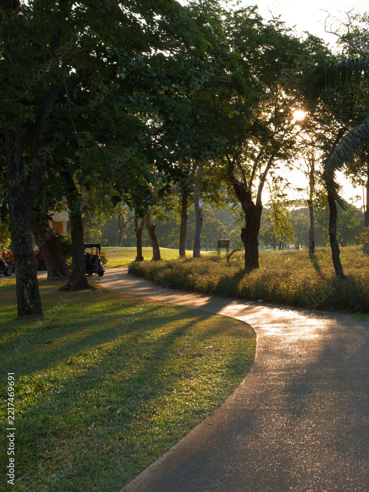 Naklejka premium Curving Asphalt Path Through Lush Green Park with Sunlight