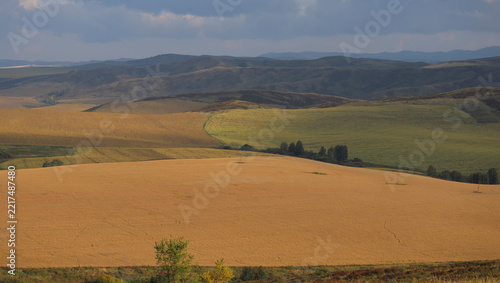 Rolling agricultural fields stretching across a rural autumn landscape, with distant mountains, golden vegetation and warm seasonal colors under a hazy sky