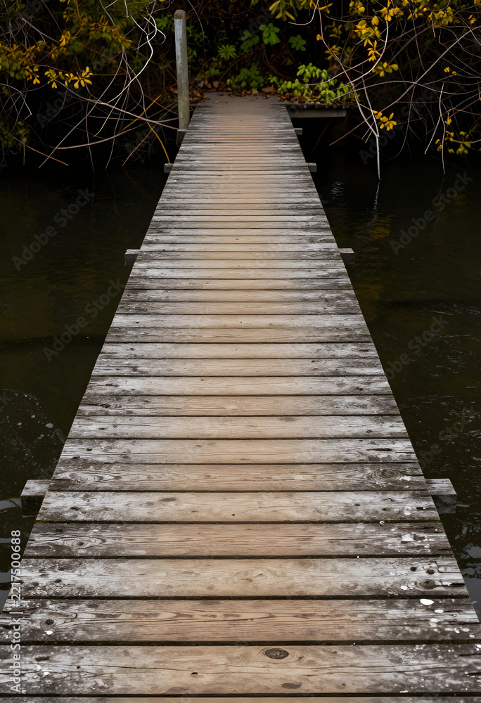 Fototapeta premium Solitude and mindfulness, wooden pier extending into calm dark water with autumn foliage for peaceful nature escape and quiet reflection in wilderness