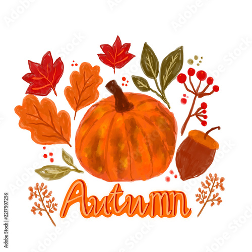 Autumn Hand Drawn Illustration with Pumpkin, Fallen Leaves, Acorn, and Berries