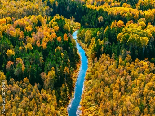 Aerial view of a winding river surrounded by vibrant autumn foliage in a dense forest