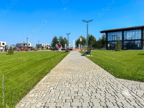 Paved path through the park. Peaceful pathway.