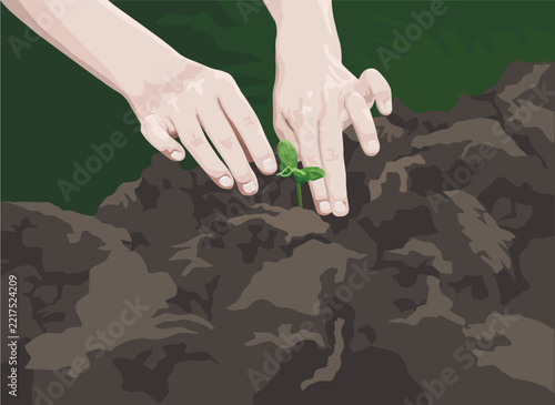 Hands Planting