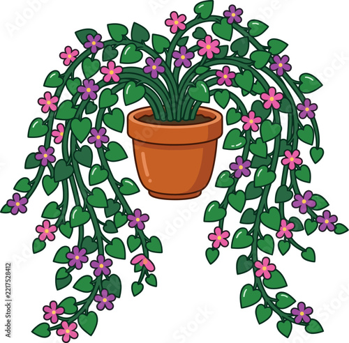 Flowering trailing vine plant in a terracotta pot
