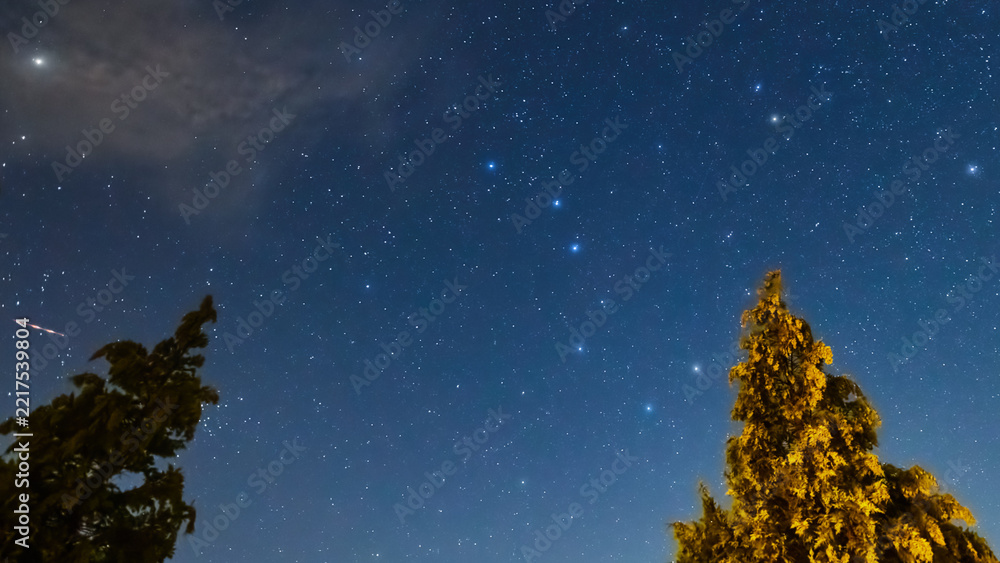 Fototapeta premium Summer Milky Way stars and landscape scenery silhouettes.