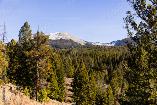 Pioneer Mountains in Montana have become the central hub for a t