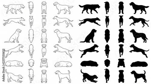 Dog Animal Action CAD Blocks Top View Front and Side Elevation