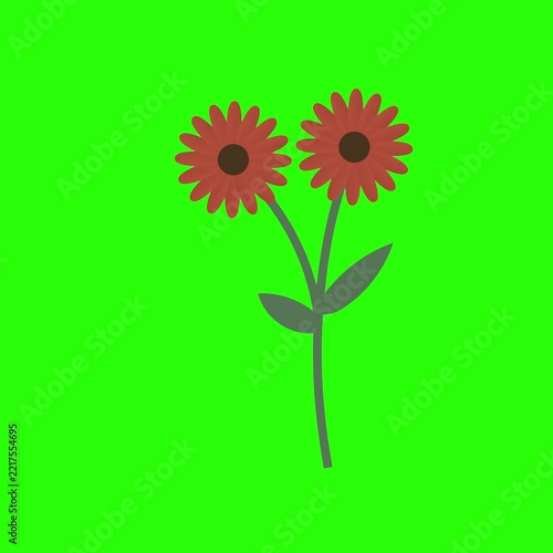 Animated Floral Stem Illustration