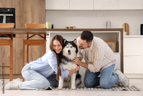Pet ownership and companionship, happy couple hugging their husky dog at home...
