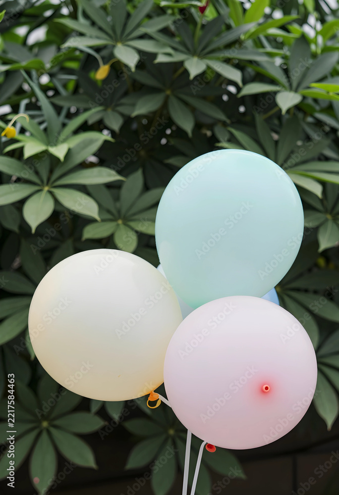 Fototapeta premium Celebration and party planning, pastel balloons for birthday event or baby shower decoration in garden with green foliage background