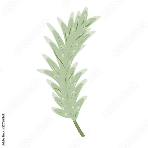 Soft green pine branch or fern frond vector illustration isolated on white background