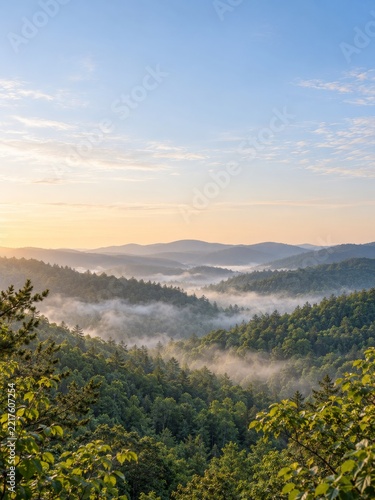 Layered Green Forest Hills and Morning Mist beneath an Expansive Pale Sky