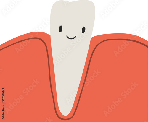 Incisor Tooth in Gum