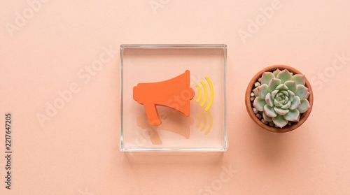 Orange megaphone inside a glass block next to a succulent plant
