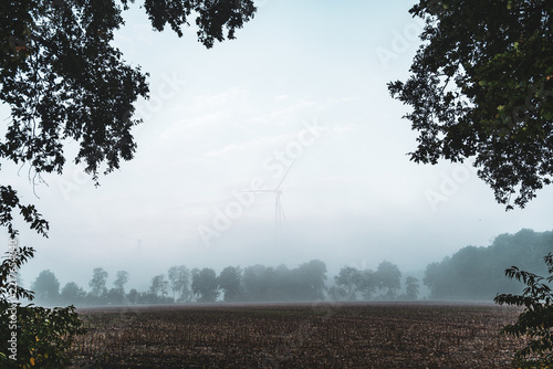 Foggy Wind Turbines Over Rural Field near Grasmoor, Bramsche