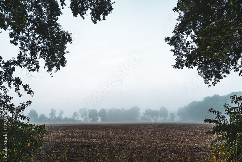 Foggy Wind Turbines Over Rural Field near Grasmoor, Bramsche
