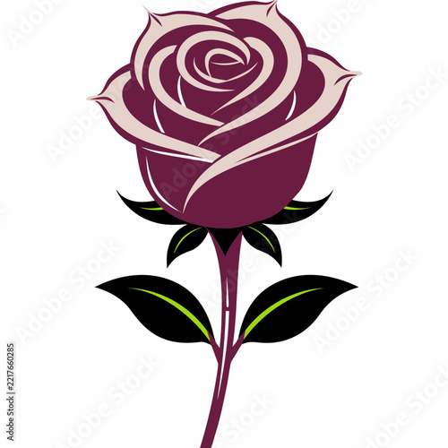 pink rose vector illustration