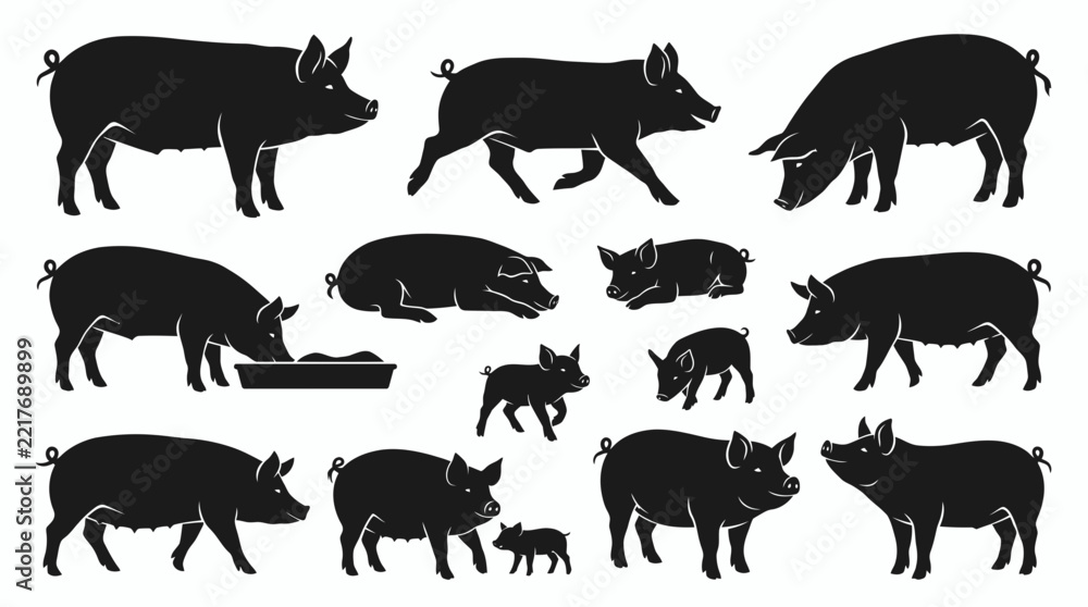 Fototapeta premium Pig silhouettes collection set standing walking eating. Varied domestic sow boar piglet livestock poses. Different animal group icons isolated on white. Clean minimalist flat vector illustration.