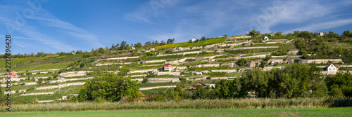 Panorama Weinbau Unstrut
