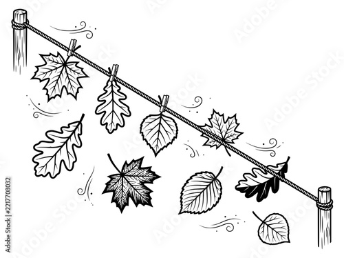 Autumn Falling Leaves Clothesline Vector