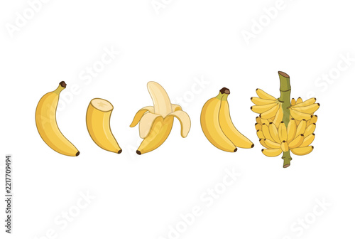 Banana Fruit Collection Showing Whole Cut Peeled and Bunch Bananas