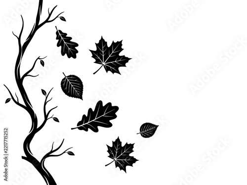 Autumn Branch With Falling Leaves Black and White Vector Illustration