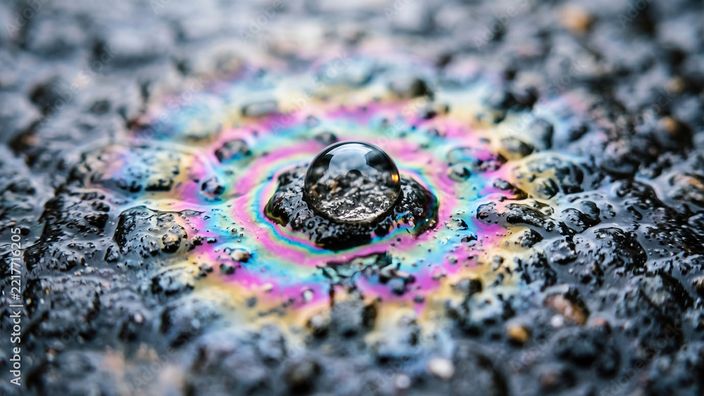 Fototapeta premium Raindrops and colorful iridescent fuel oil sheen rainbow on wet dark asphalt texture