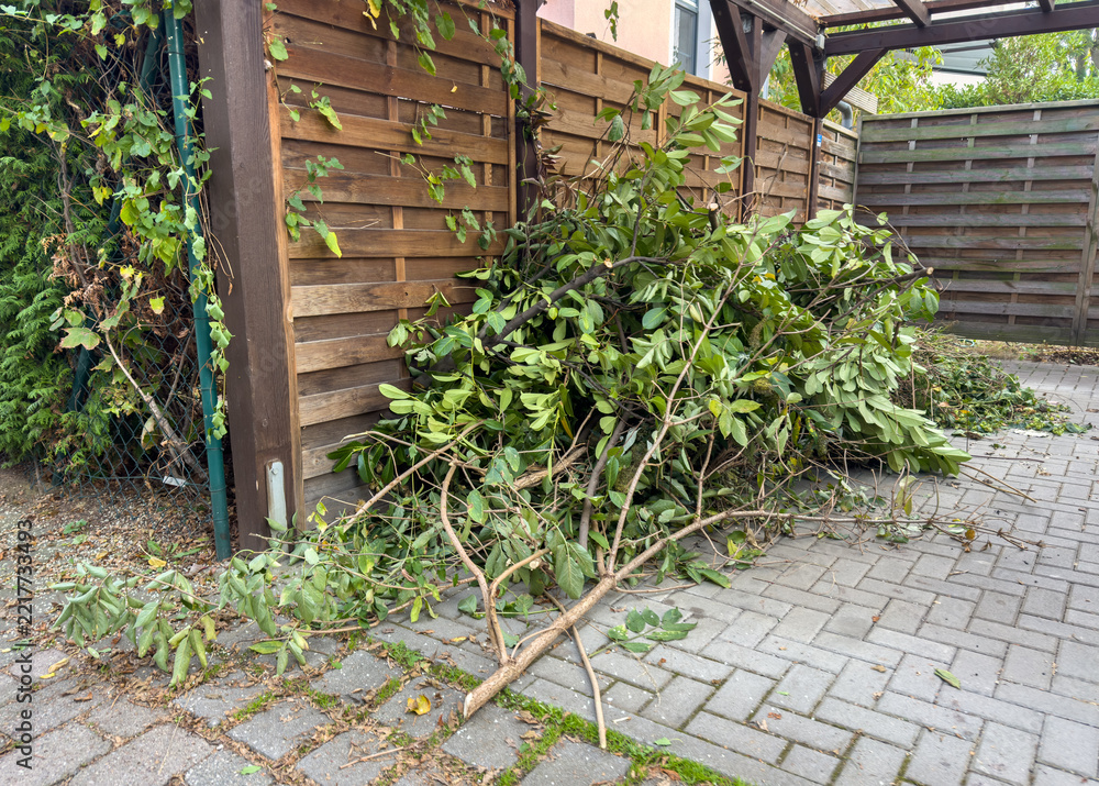 Naklejka premium Shrubs and Hedge Trimmings Beside a Carport in Autumn