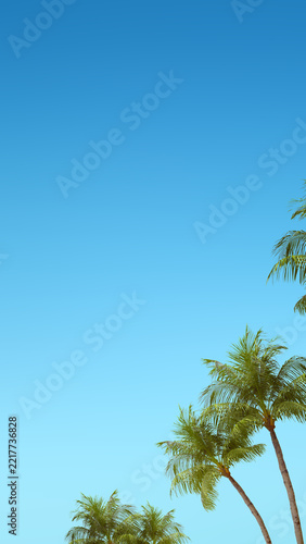 Lush green tropical palm trees against a vibrant, clear blue sky with ample copy space. Ideal for summer vacation, travel, and tropical beach themes. Nature, natural or quotes background