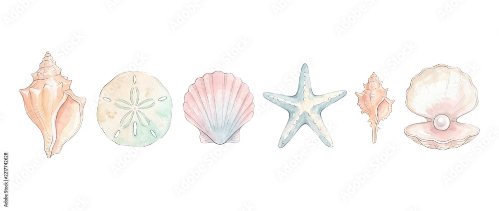 Fototapeta premium Watercolor seashell clam pearl starfish illustration set isolated on black background for ocean beach coastal summer decor banner, soft pastel sea shell clipart collection for nautical design