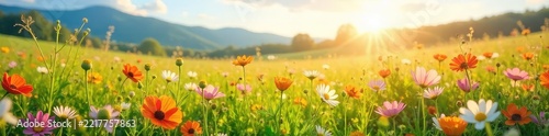 Vibrant wildflowers in a sun-drenched field, creating a stunning natural decorative scene Perfect for illustrating nature, spring, summer, or rural themes , outdoor, wildflowers, greenery