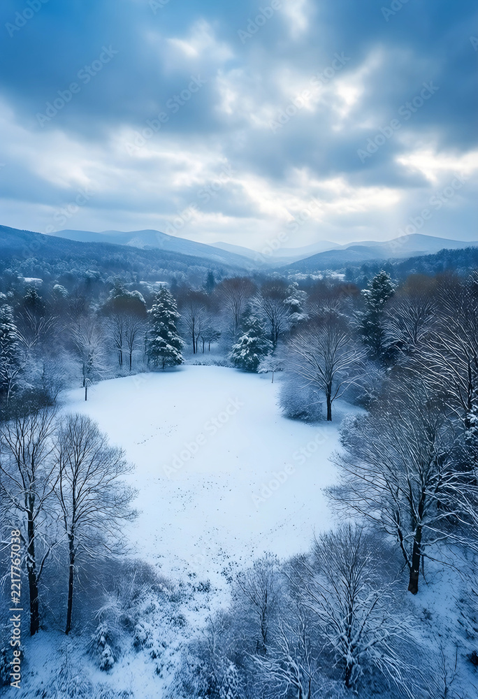 Naklejka premium Winter landscape and seasonal change, snowy forest clearing with mountains in the background under a cloudy sky during a cold winter day in nature
