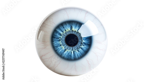 Realistic 3D Human Blue Eyeball with Detailed Iris Pupil and Sclera for Ophthalmology on Transparent Background