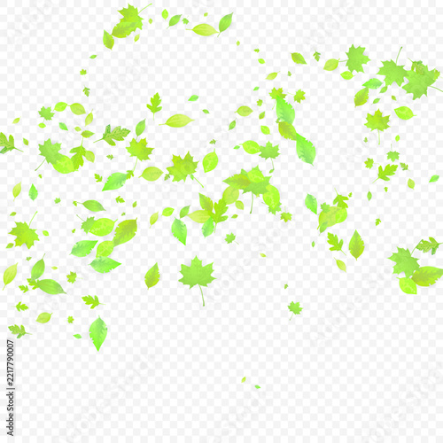 Leaves Falling. Spring Flying Foliage. Chaotic Green Leaf Flying On Transparent Background. Forest Design, Nature Elements. Ecology Vector Illustration. Environment Backdrop.