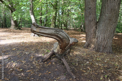 designed old tree trunk