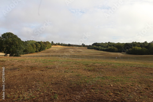 rural landscape with a field and sky