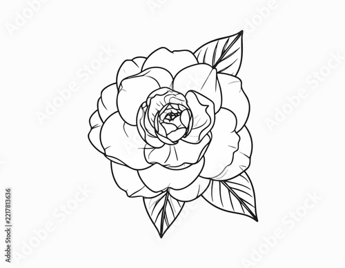 Beautiful hand drawn rose flower illustration line art.