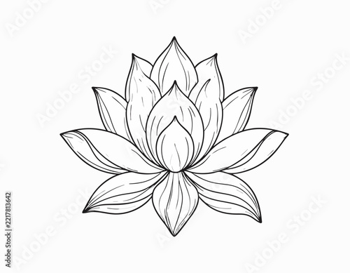 Beautiful hand drawn lotus flower illustration.