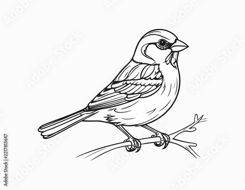 Hand drawn sparrow bird sitting on a branch.