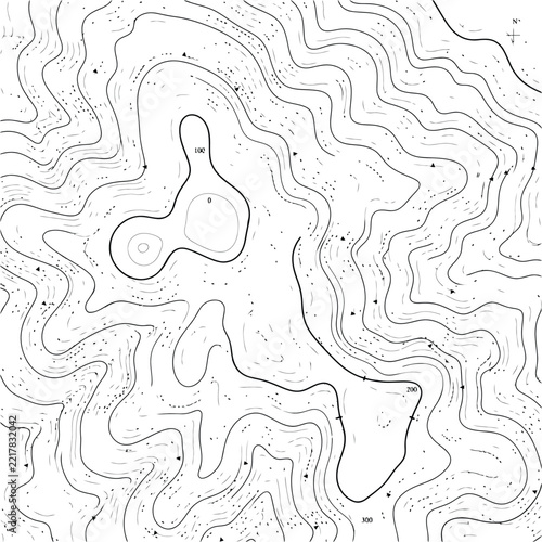 Lines vector graphic depicting contour topographical map elevation