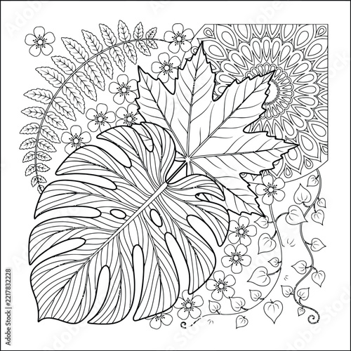 Leaf line art drawing featuring tropical foliage and geometric mandala