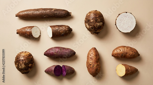 Assortment of various fresh root vegetables and tubers arranged neatly on a neutral background