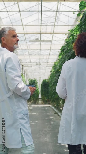 Managing greenhouse inspection processes. Facility supervision includes safety and maintenance checks. Conducting comprehensive audits of infrastructure and sanitation protocols. vertical video